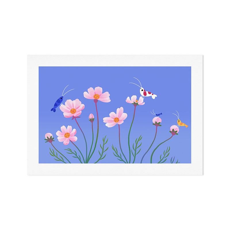 Cosmos and shrimp Art Print Gallery Image 1