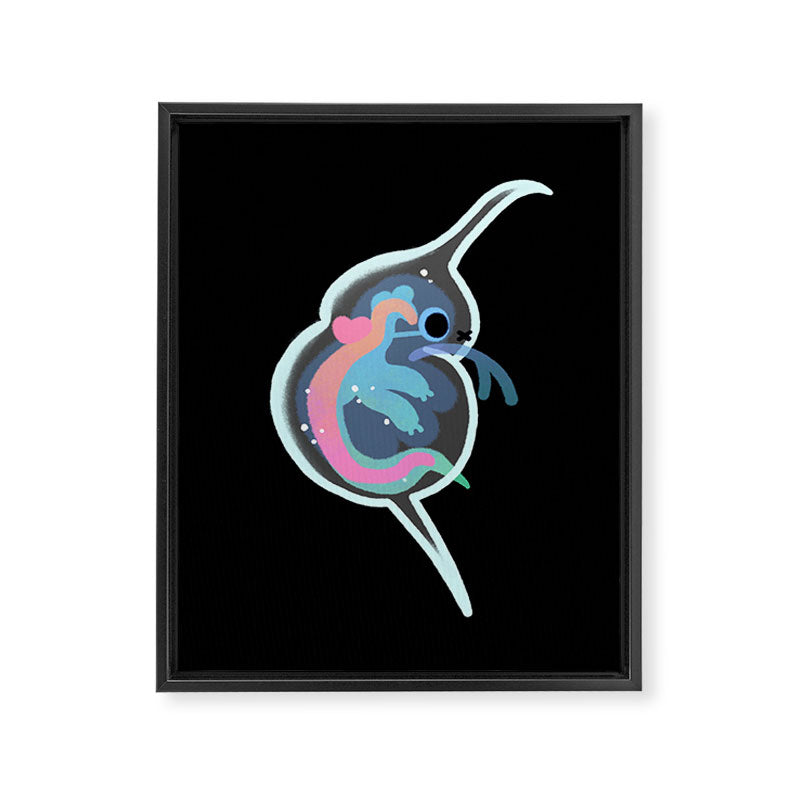 Daphnia Framed Canvas Print Gallery Image 6