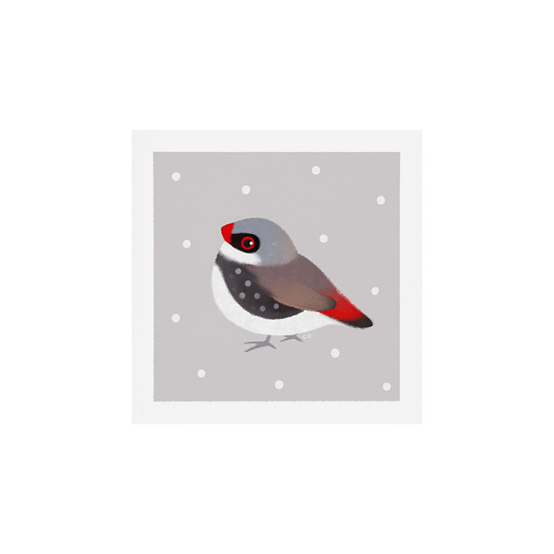 Diamond Firetail Art Print Gallery Image 1