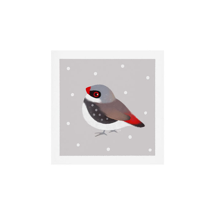Diamond Firetail Art Print Gallery Image 1