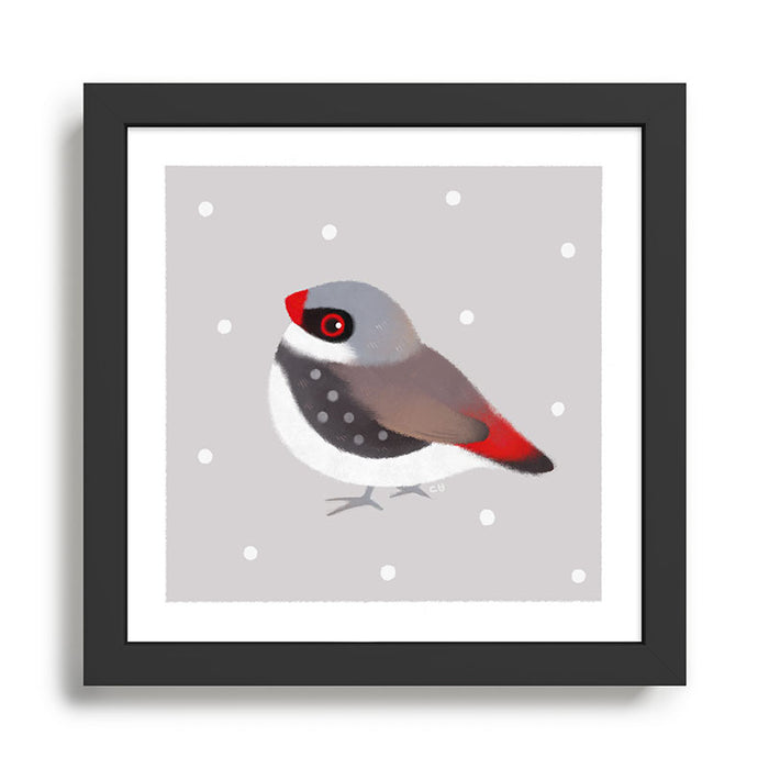 Diamond Firetail Framed Art Print Gallery Image 1