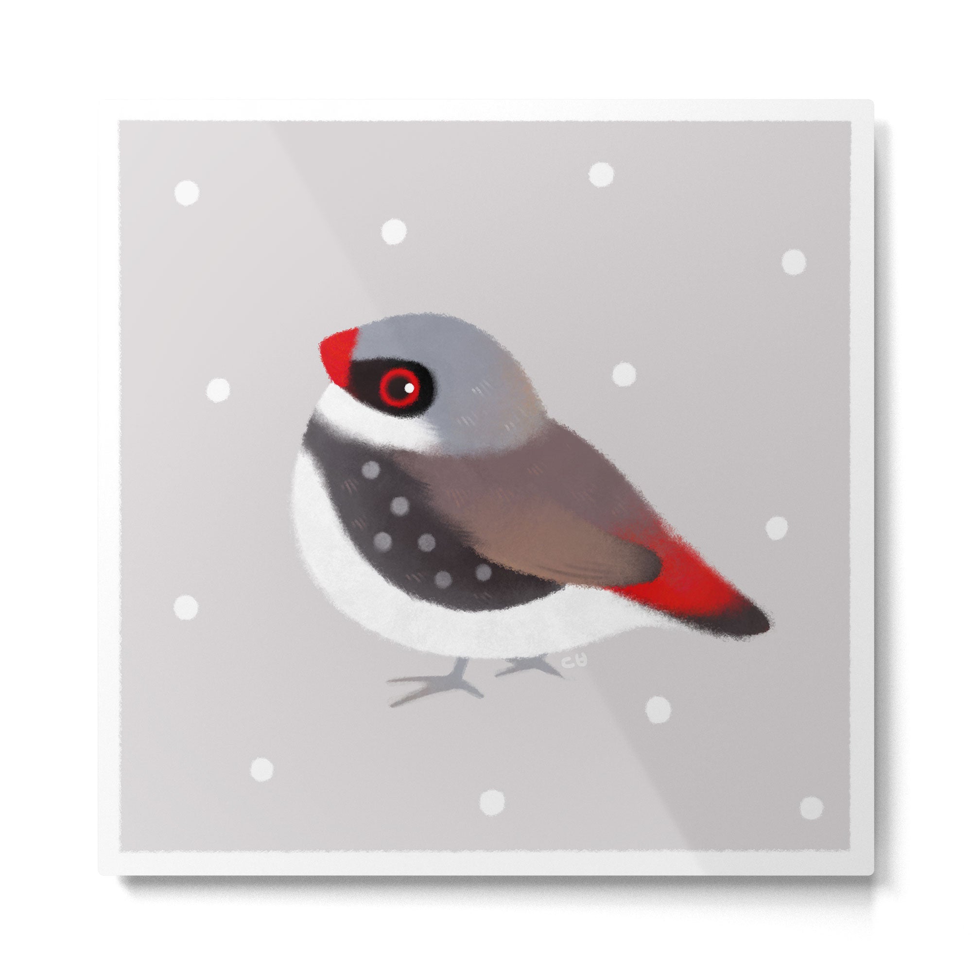 Diamond Firetail Metal Print Gallery Image 2