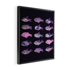 Dolphin Day - dark Framed Canvas Print Gallery Image 2
