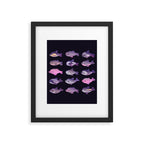 Dolphin Day - dark Framed Art Print Gallery Image 6