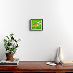 Dwarf puffer Framed Art Print Gallery Image 2