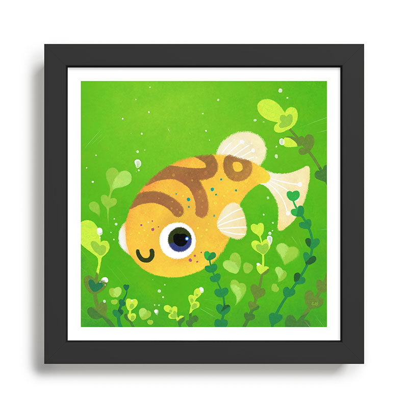 Dwarf puffer Framed Art Print Gallery Image 1