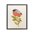Eurasian bullfinch Framed Canvas Print Gallery Image 6