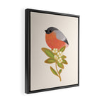 Eurasian bullfinch Framed Canvas Print Gallery Image 2