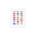 Freshwater shrimp - name Art Print Gallery Image 1