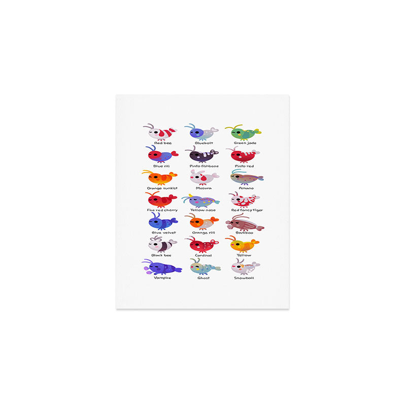 Freshwater shrimp - name Art Print Gallery Image 1