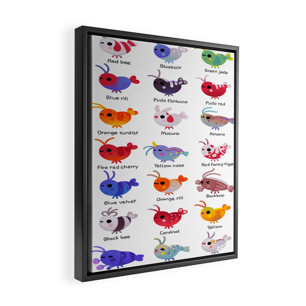 Freshwater shrimp - name Framed Canvas Print Gallery Image 2