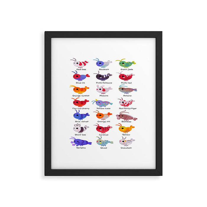 Freshwater shrimp - name Framed Art Print Gallery Image 1