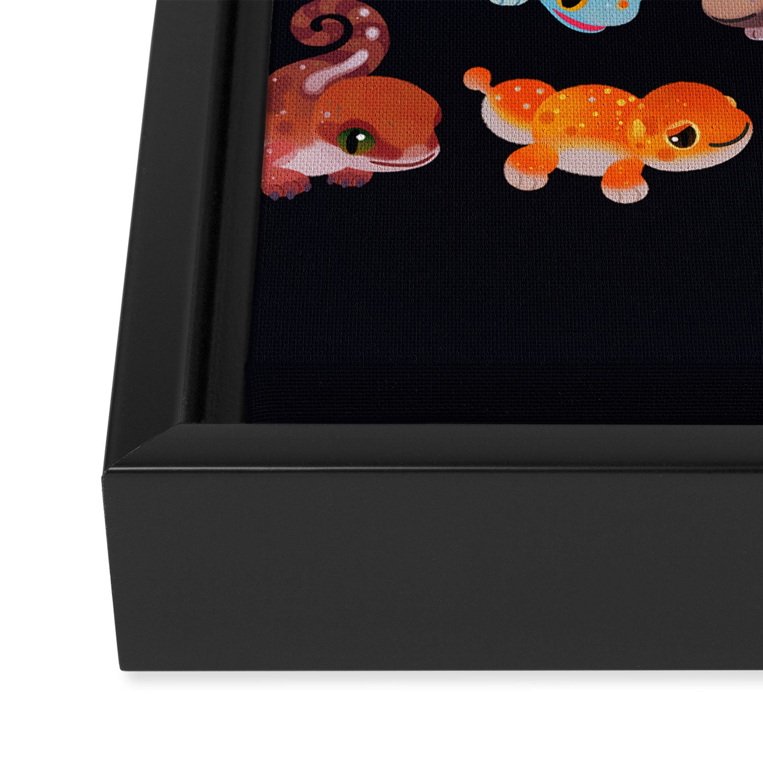 Gecko Framed Canvas Print Gallery Image 3