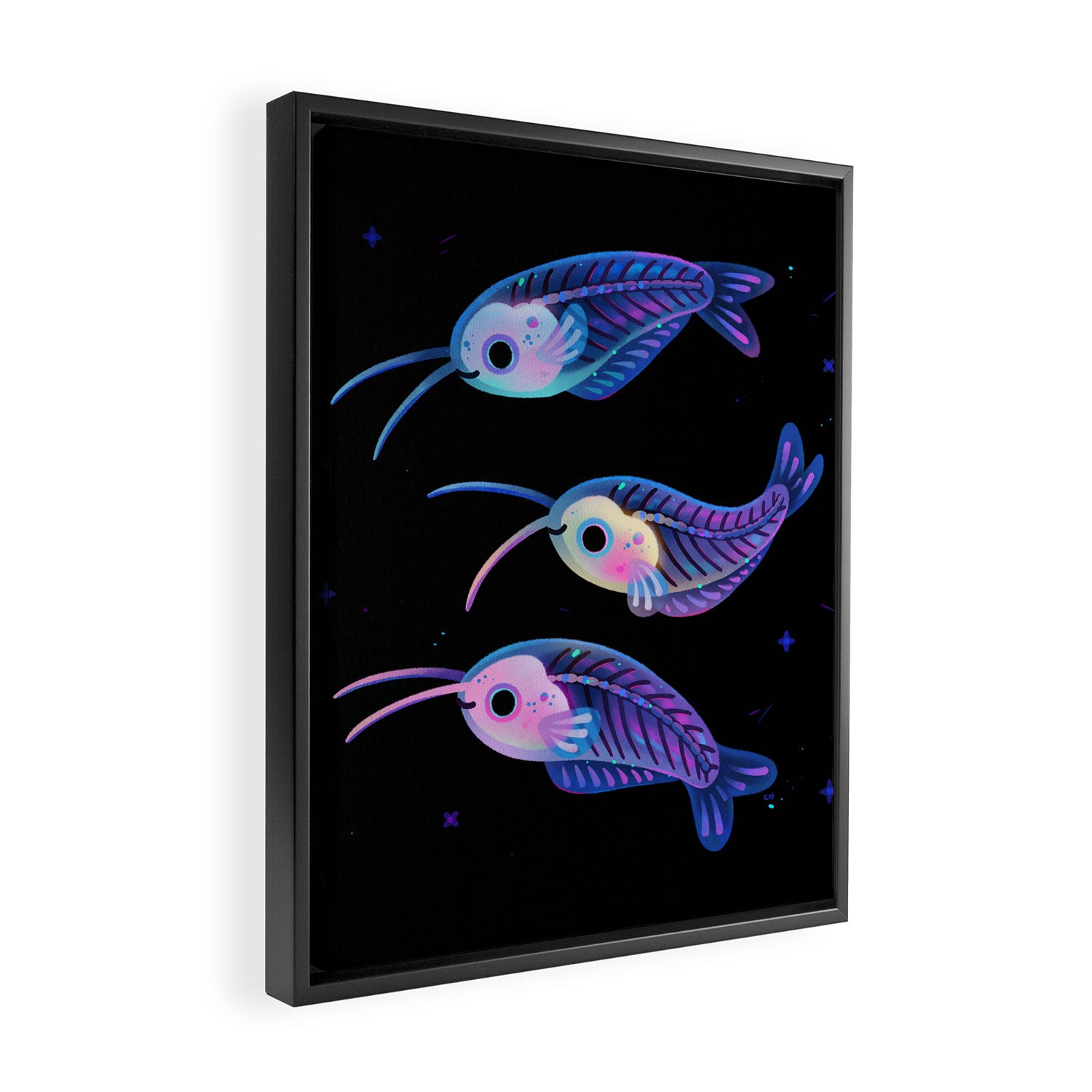 Glass catfish Framed Canvas Print Gallery Image 2