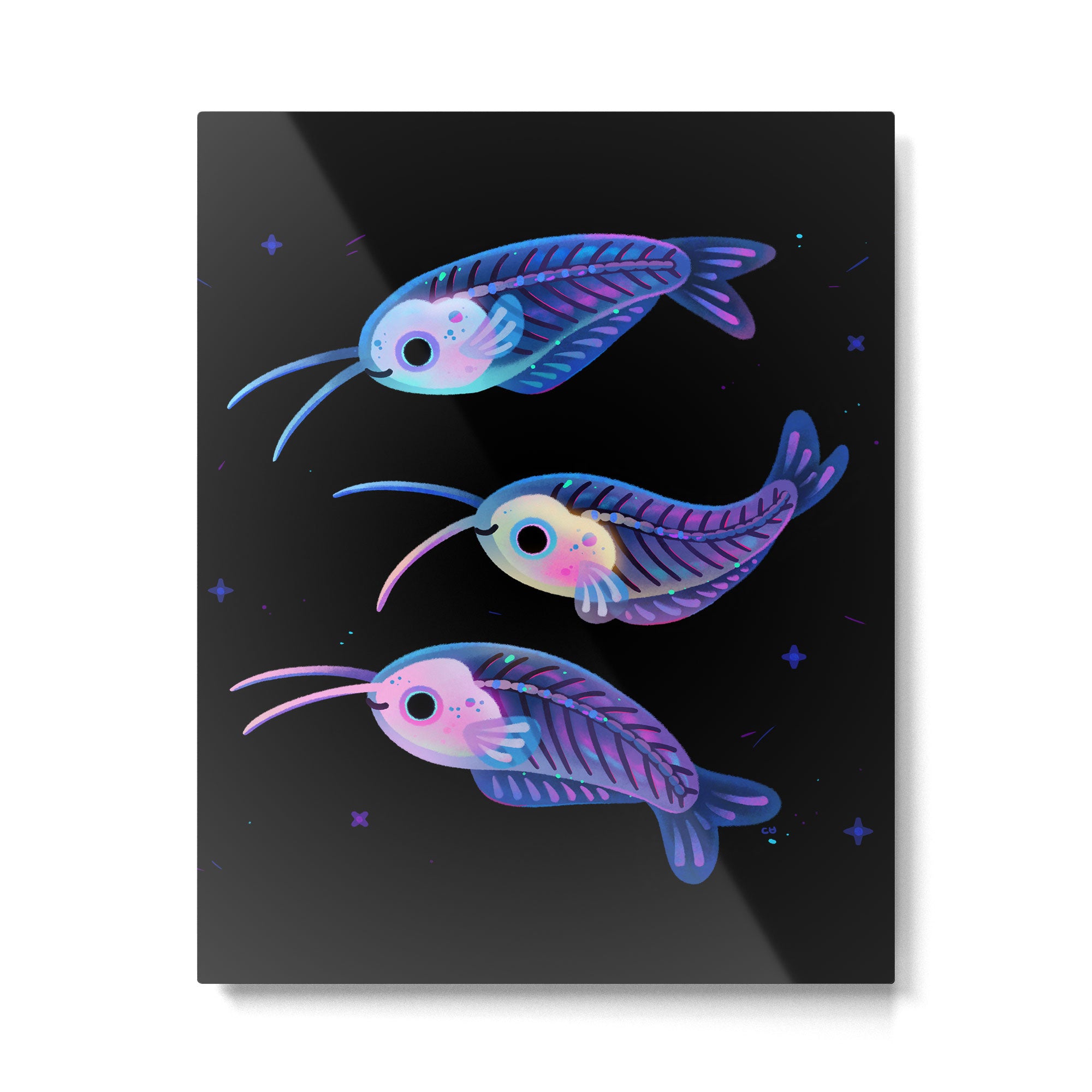 Glass catfish Metal Print Gallery Image 6