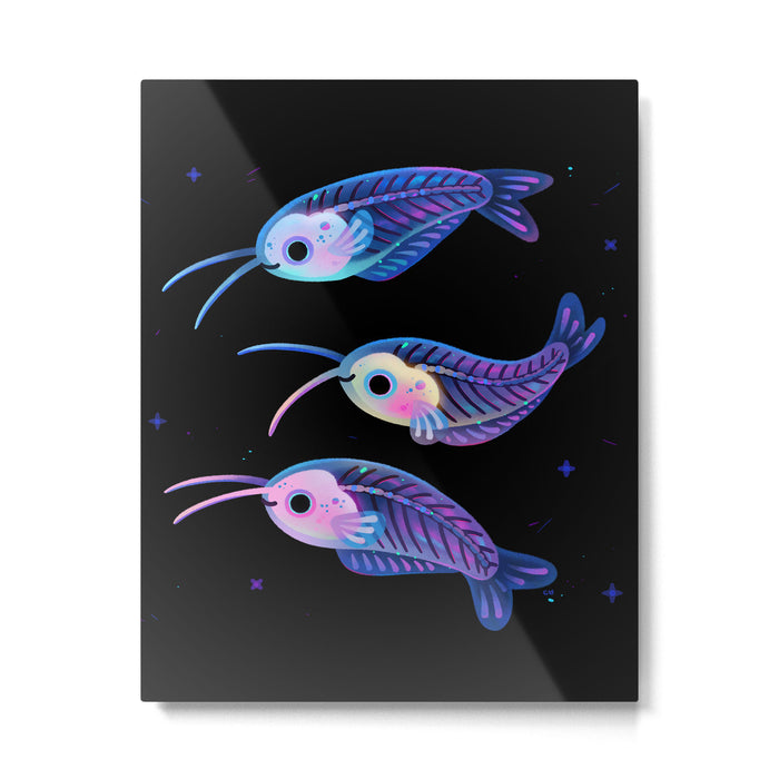 Glass catfish Metal Print Gallery Image 1