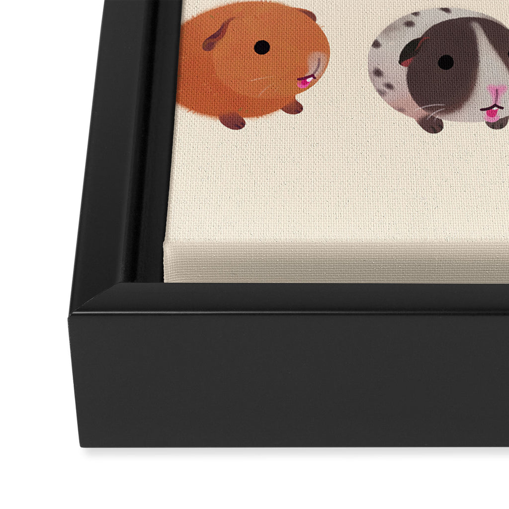 Guinea pig day Framed Canvas Print Gallery Image 3
