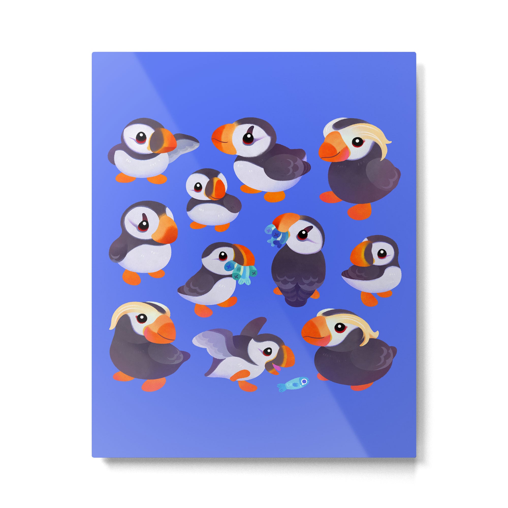 Happy puffin - blue Metal Print Gallery Image 6