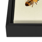 Honey bees Framed Canvas Print Gallery Image 3