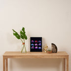 Jewel turtle Framed Canvas Print Gallery Image 4