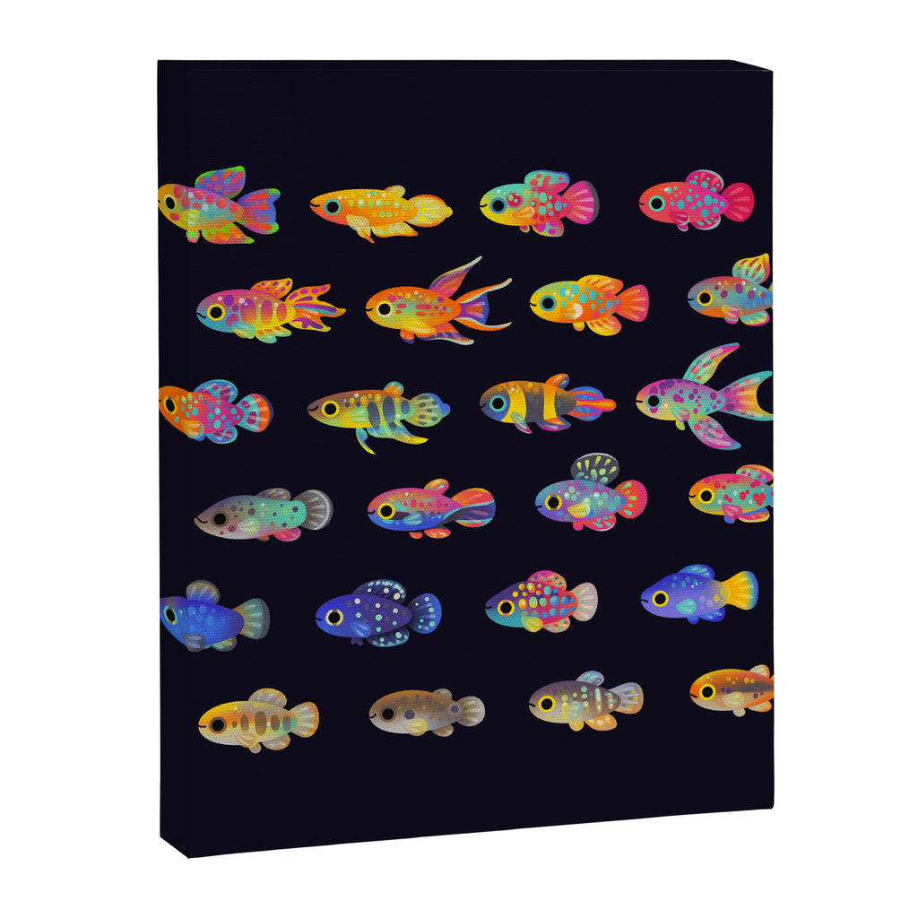 Killifish! Canvas Print Gallery Image 8