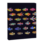 Killifish! Canvas Print Gallery Image 8