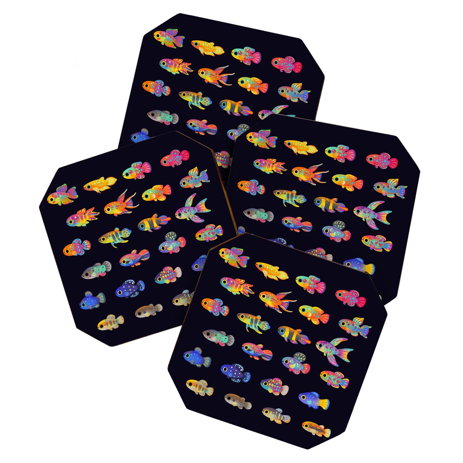 Killifish! Coaster Gallery Image 1