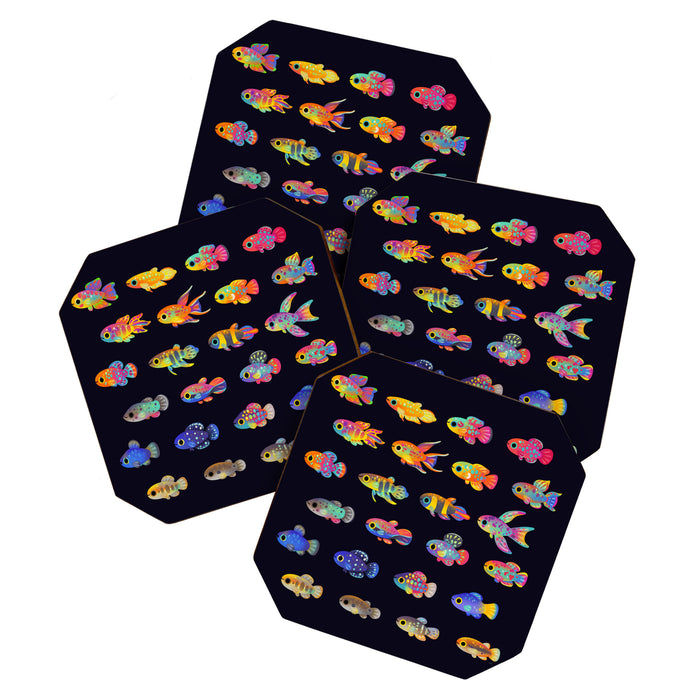 Killifish! Coaster Gallery Image 1