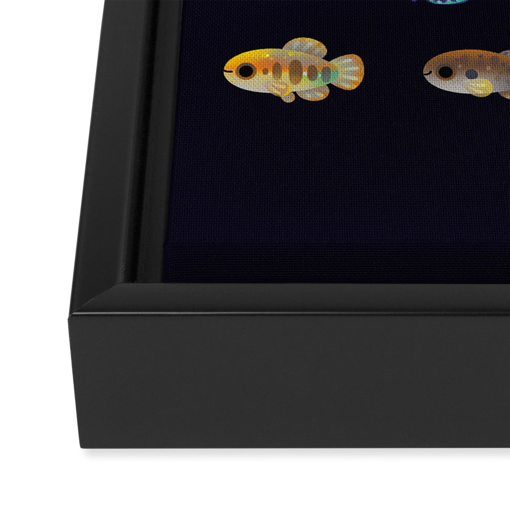 Killifish! Framed Canvas Print Gallery Image 3