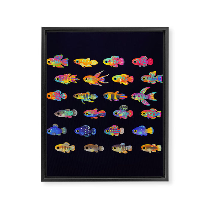 Killifish! Framed Canvas Print Gallery Image 1