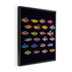 Killifish! Framed Canvas Print Gallery Image 2