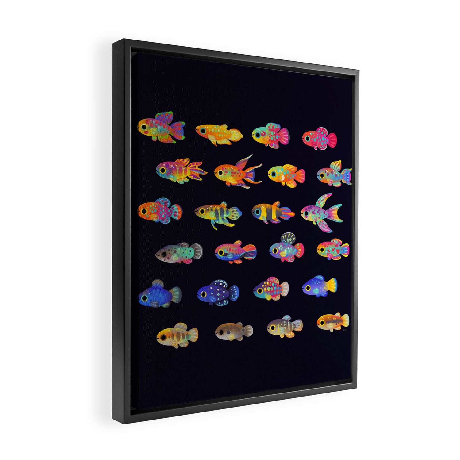 Killifish! Framed Canvas Print Gallery Image 2