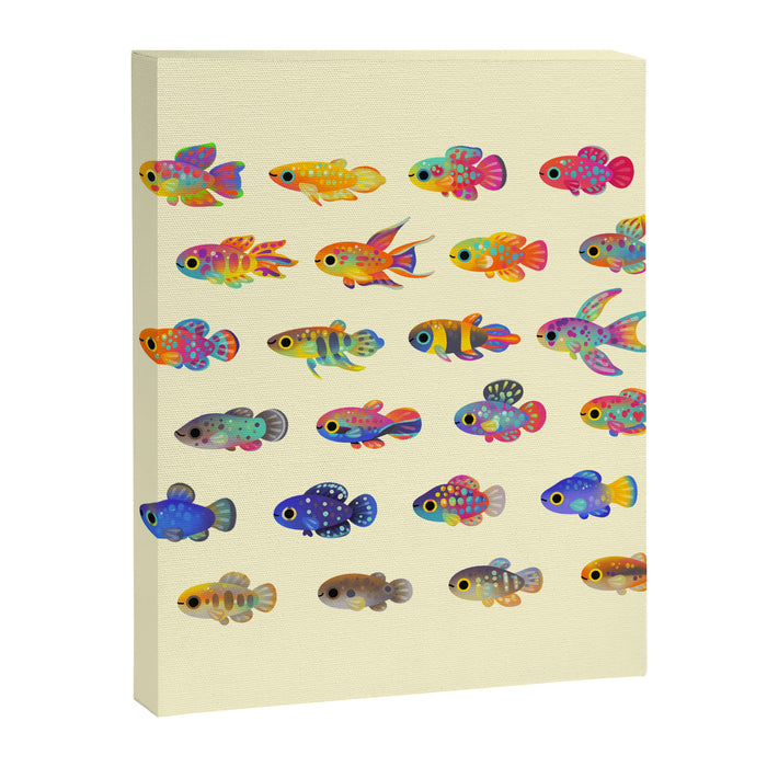 Killifish! - yellow Canvas Print Gallery Image 1