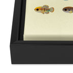 Killifish! - yellow Framed Canvas Print Gallery Image 3