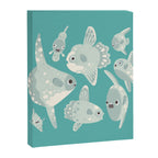 Mola mola Canvas Print Gallery Image 8