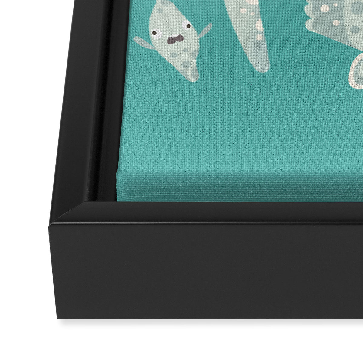 Mola mola Framed Canvas Print Gallery Image 3