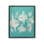 Mola mola Framed Canvas Print Gallery Image 8