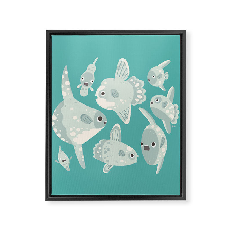 Mola mola Framed Canvas Print Gallery Image 8