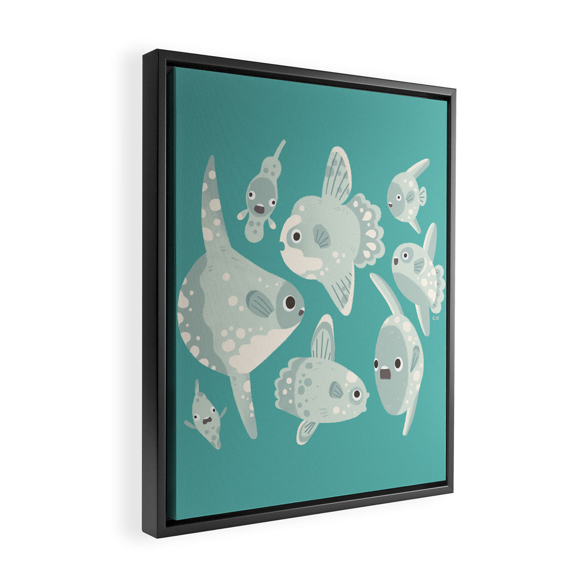 Mola mola Framed Canvas Print Gallery Image 2