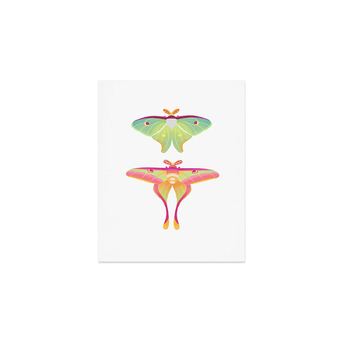 Moth Art Print Gallery Image 1
