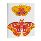 Moth - pastel Canvas Print Gallery Image 8