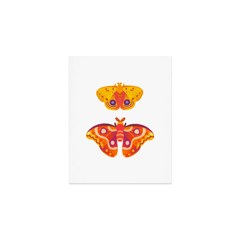 Moth - pastel Art Print Gallery Image 1