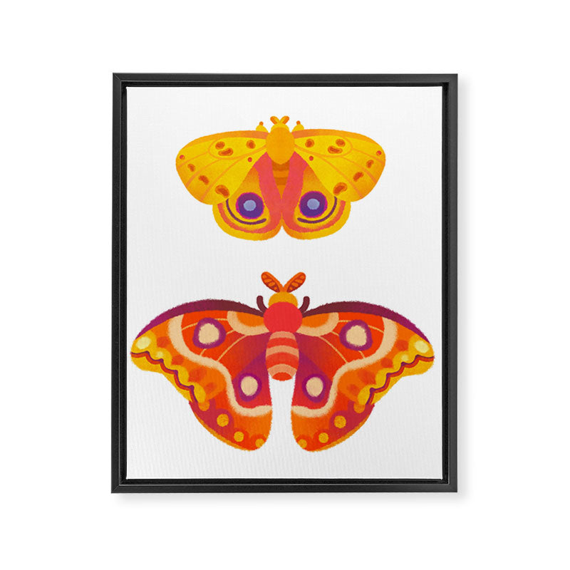 Moth - pastel Framed Canvas Print Gallery Image 8