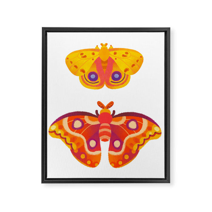 Moth - pastel Framed Canvas Print Gallery Image 1