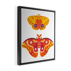 Moth - pastel Framed Canvas Print Gallery Image 2