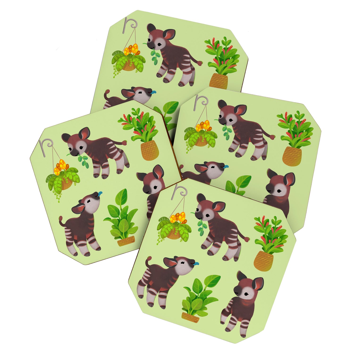 Okapi Coaster Gallery Image 1