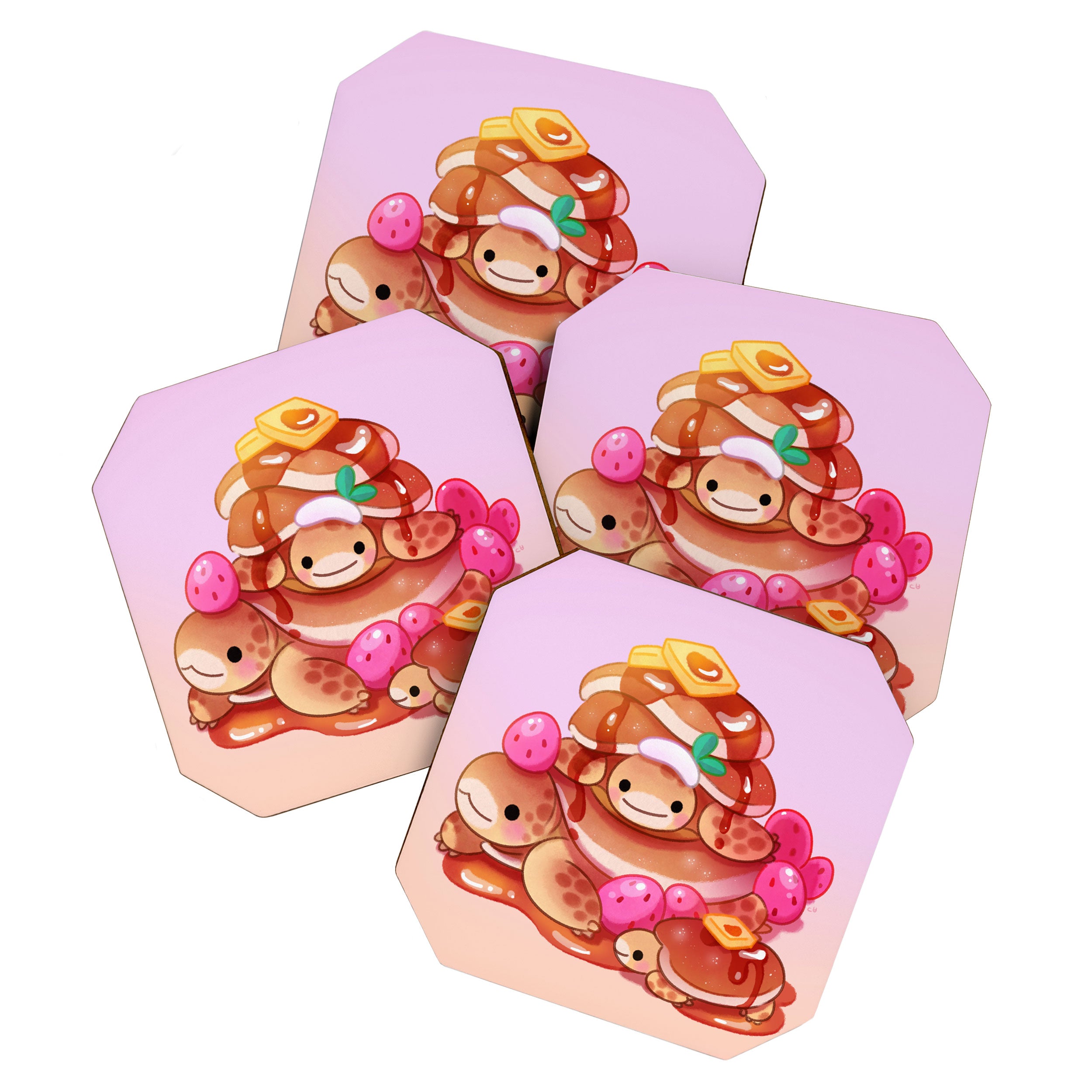 Pancake tortoise Coaster Gallery Image 1