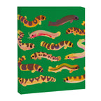 Pangio loaches (Kuhli loach) Canvas Print Gallery Image 8