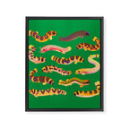 Pangio loaches (Kuhli loach) Framed Canvas Print Gallery Image 8