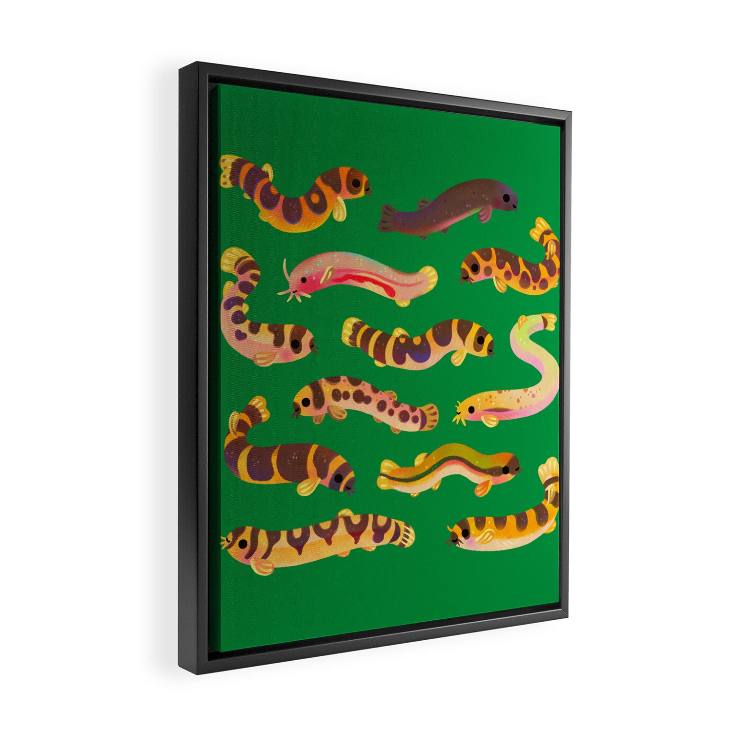 Pangio loaches (Kuhli loach) Framed Canvas Print Gallery Image 2